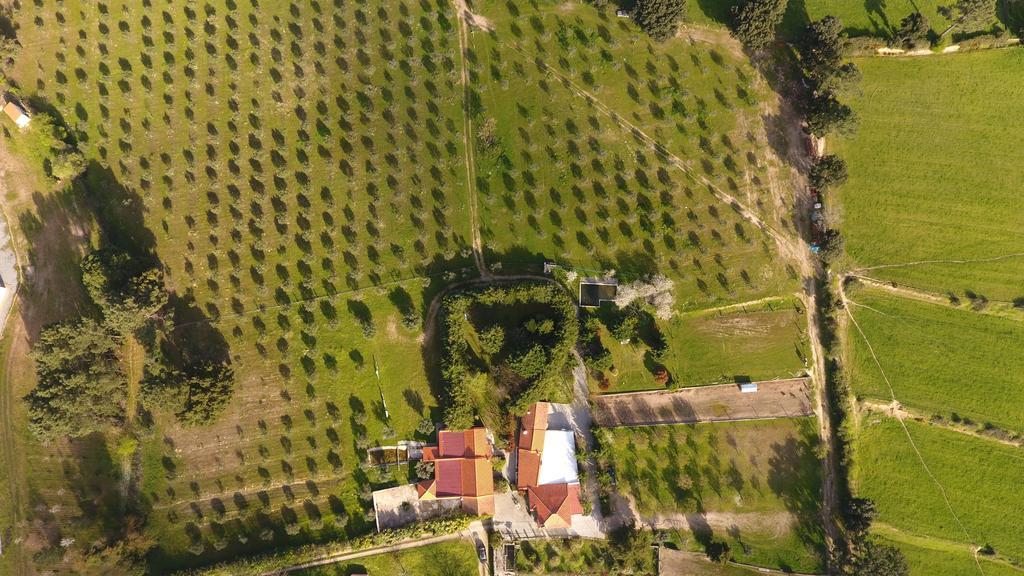 Quinta Santo Antonio Do Rio Βίλα Celorico Da Beira Εξωτερικό φωτογραφία